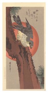 Hiroshige I / Hawk on Pine Tree【Reproduction】 [松に鷹【復刻版】]