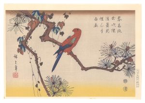 Hiroshige I / Parakeet on Pine Tree【Reproduction】 [松にインコ【復刻版】]