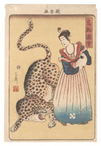 Yoshimori / Picture of Birds and Animals [鳥獣図会]