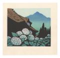 Hydrangea (tentative title)