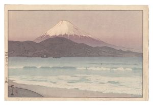 Fuji from Miho