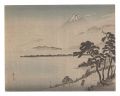 Fuji (tentative title)