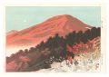 Ten Views of Shinano / Frosty ......