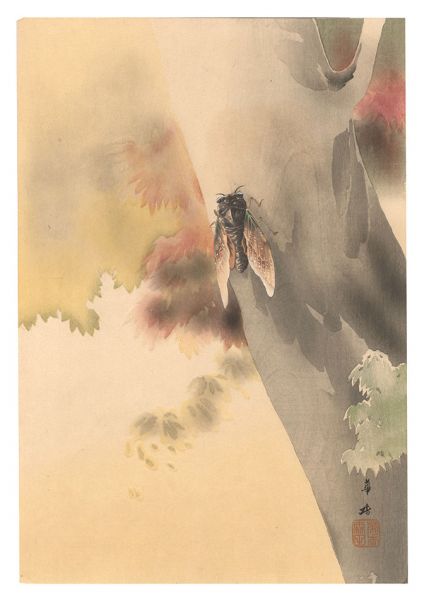 Morita Kako “Cicada (tentative title)”