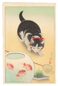 金魚鉢に猫