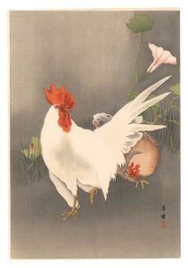 鶏（仮題）