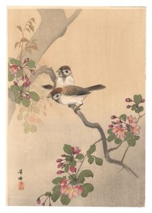 雀（仮題）