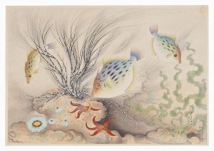 大日本魚類画集　第一輯ノ九　カワハギ
