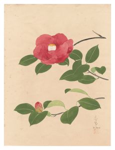Ono Bakufu / Camellia (tentative title)