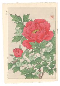 Kawarazaki Shodo / Peony