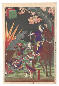 鹿児島戦記　両女勇を振ふて花岡山に官軍と戦血氊をしく