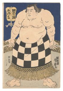 相撲絵　響灘五郎吉