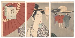 Kiyochika / Floral Patterns / The An'ei Era [花模様　安永頃]