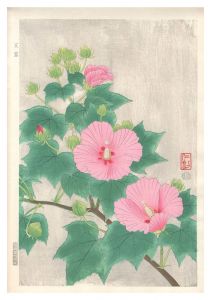 Ito Nisaburo / Cotton Rosemallow