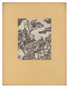 Kuroki Sadao / Chameleon Plant