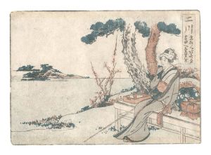 Hokusai / Shunkyo Gojusan da / Futagawa [春興五十三駄之内　二川]