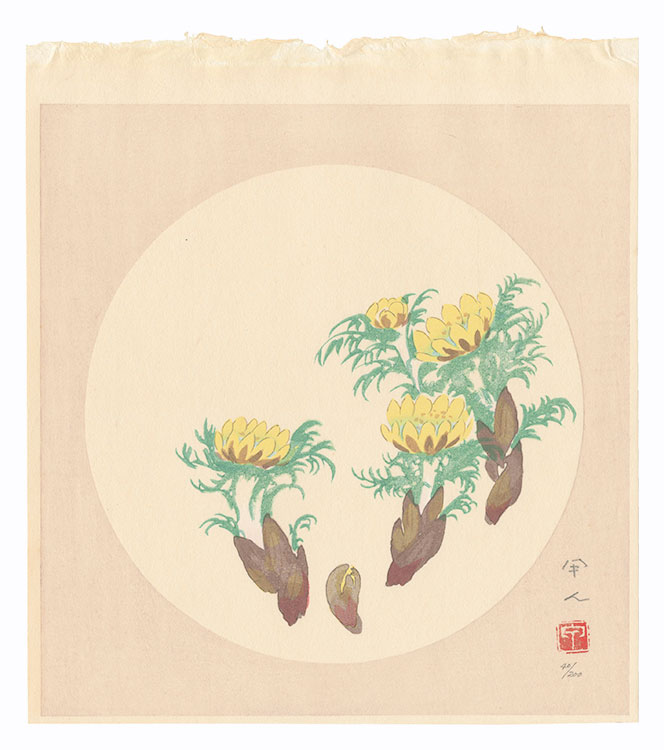 工藤甲人「福寿草」