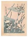 Early Winter Water Scene