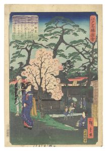 江戸名勝図会　牛御前