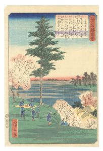 江戸名勝図会　日暮里