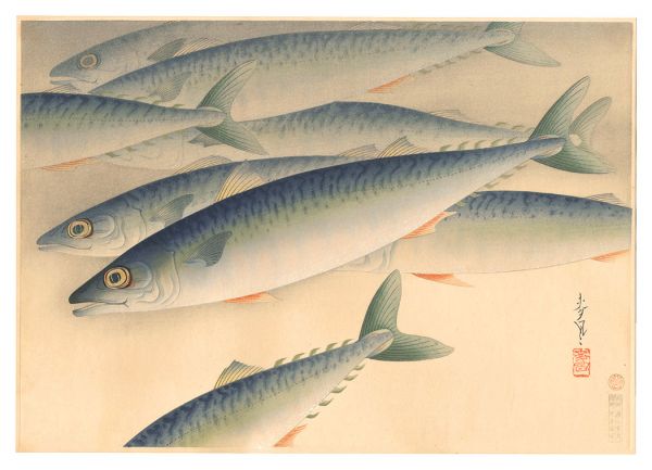 大野麥風「大日本魚類画集　第ニ輯ノ四 鯖」