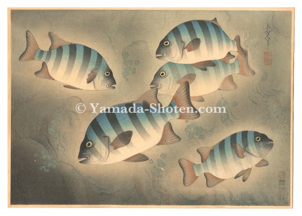 Ono Bakufu “Fish of Japan / No. 6 of Volume 2: Rock Sea Bream”