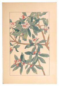 杉浦非水「瑞香」