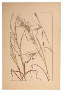 <strong>Sugiura Hisui</strong><br>Thatching grass
