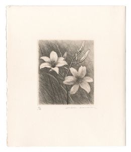 Kimura Shigeru / Orange Daylily