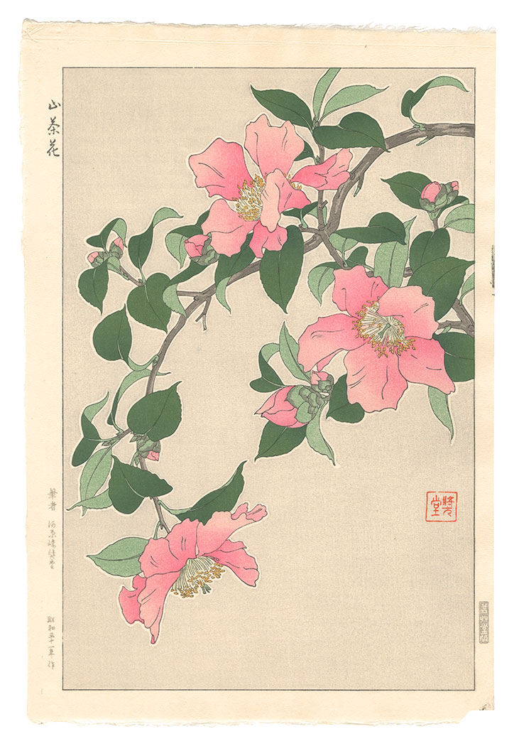 Kawarazaki Shodo “Sasanqua”