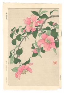Kawarazaki Shodo / Sasanqua