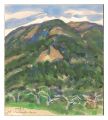 Apple Orchard in Nagano