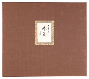 <strong>Hideshima Yukio</strong><br>Spring Castle -Death and Resur......
