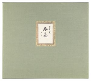 <strong>Hideshima Yukio</strong><br>Spring Castle -Devotion-