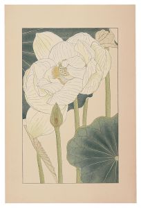 Sugiura Hisui / Lotus
