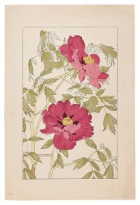 Sugiura Hisui / Peony