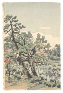 鏡湖池畔