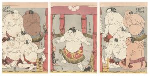 Sharaku / Daidozan Entering the Ring【Reproduction】  [大童山土俵入り【復刻版】]