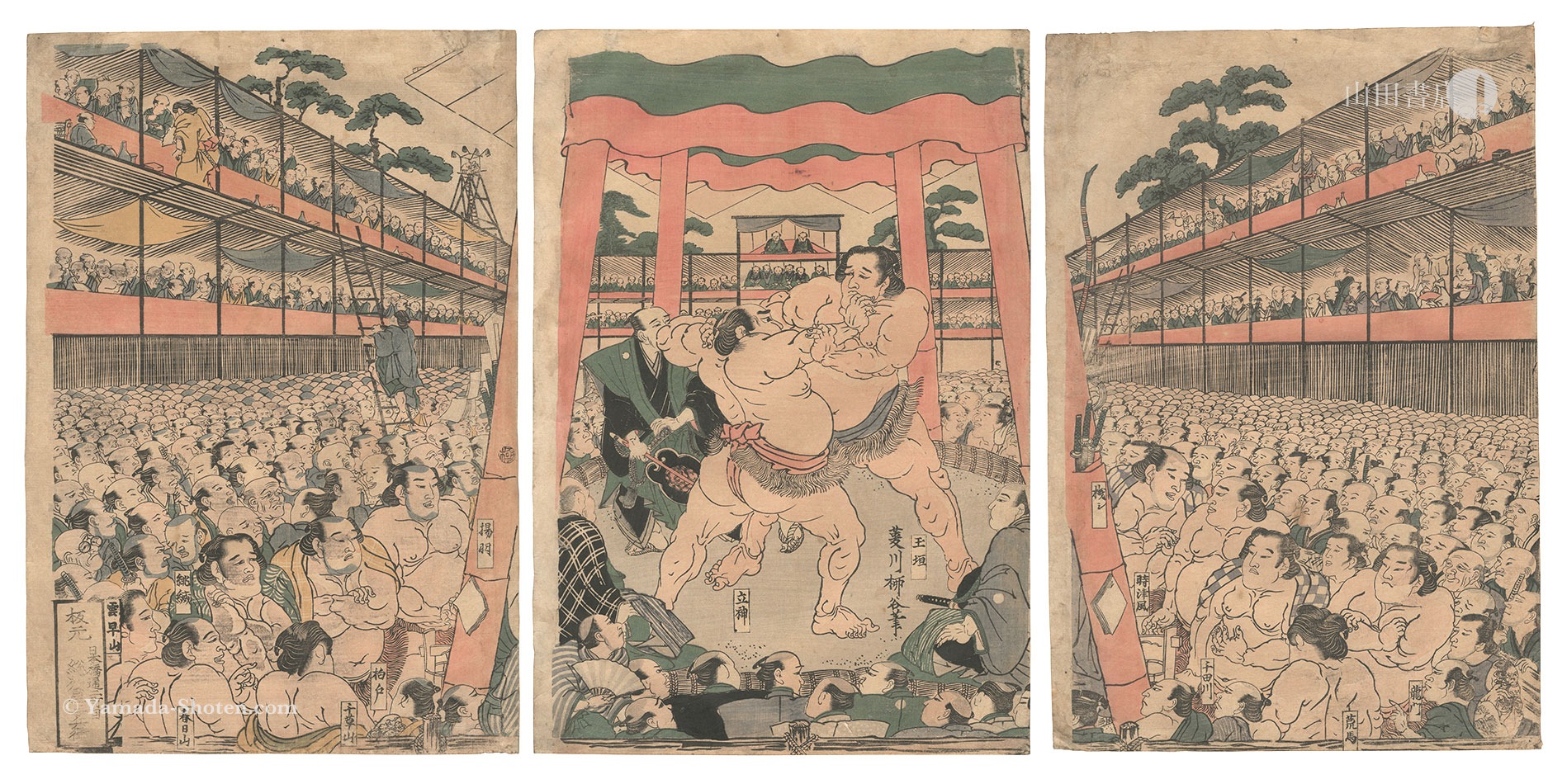 柳谷「相撲絵」