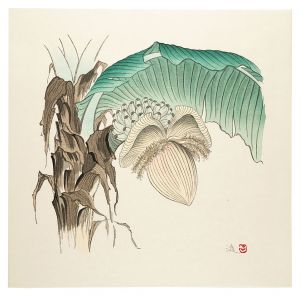 Maki Susumu / Banana