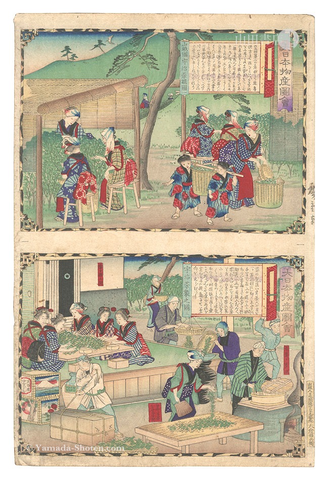 Hiroshige III “Famous Products of Japan / Shimosa Province: Uji Tea Picking; Making Uji Tea”