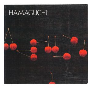 ｢浜口陽三展｣