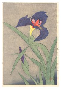 三井淳生「花菖蒲（仮題）」