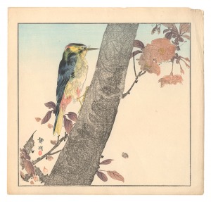 Seiko / Birds and Flower