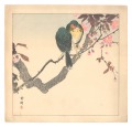 Birds and Flower