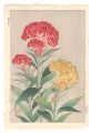 Cockscomb