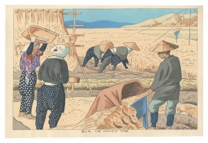 The Harvest Time