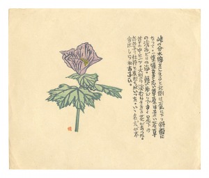 Maekawa Senpan / Title unknown