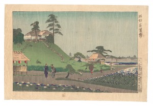 <strong>Kiyochika</strong><br>The Iris Garden at Horikiri