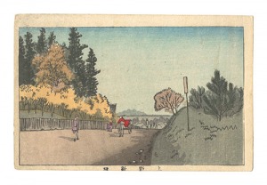 Yasuji,Tankei True Pictures of Famous Places......